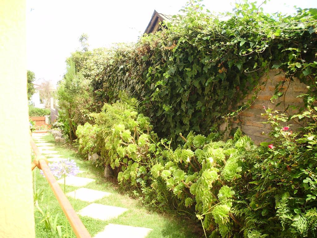 Hostal Libertad Ел Киско Екстериор снимка
